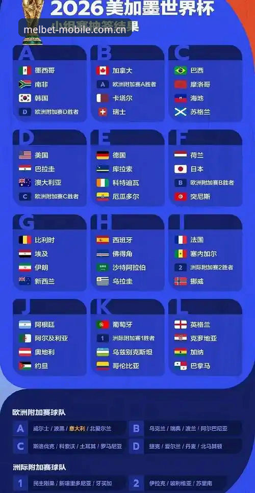 世界杯观赛潮遭遇签证寒流：全球球迷出行阻力深度评测